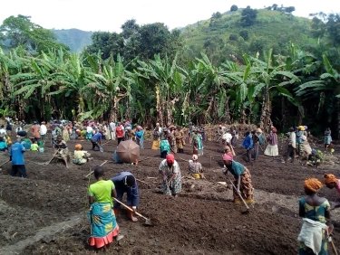 Humanitarian Aid Congo: Seeding