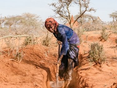 Die unter Dürre leidenden Menschen brauchen Ihre Unterstützung. Dürre in Ostafrika