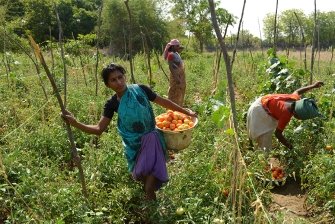 Die Welt sagt Ja zu den Rechten von Kleinbauern – jetzt müssen den Worten Taten folgen