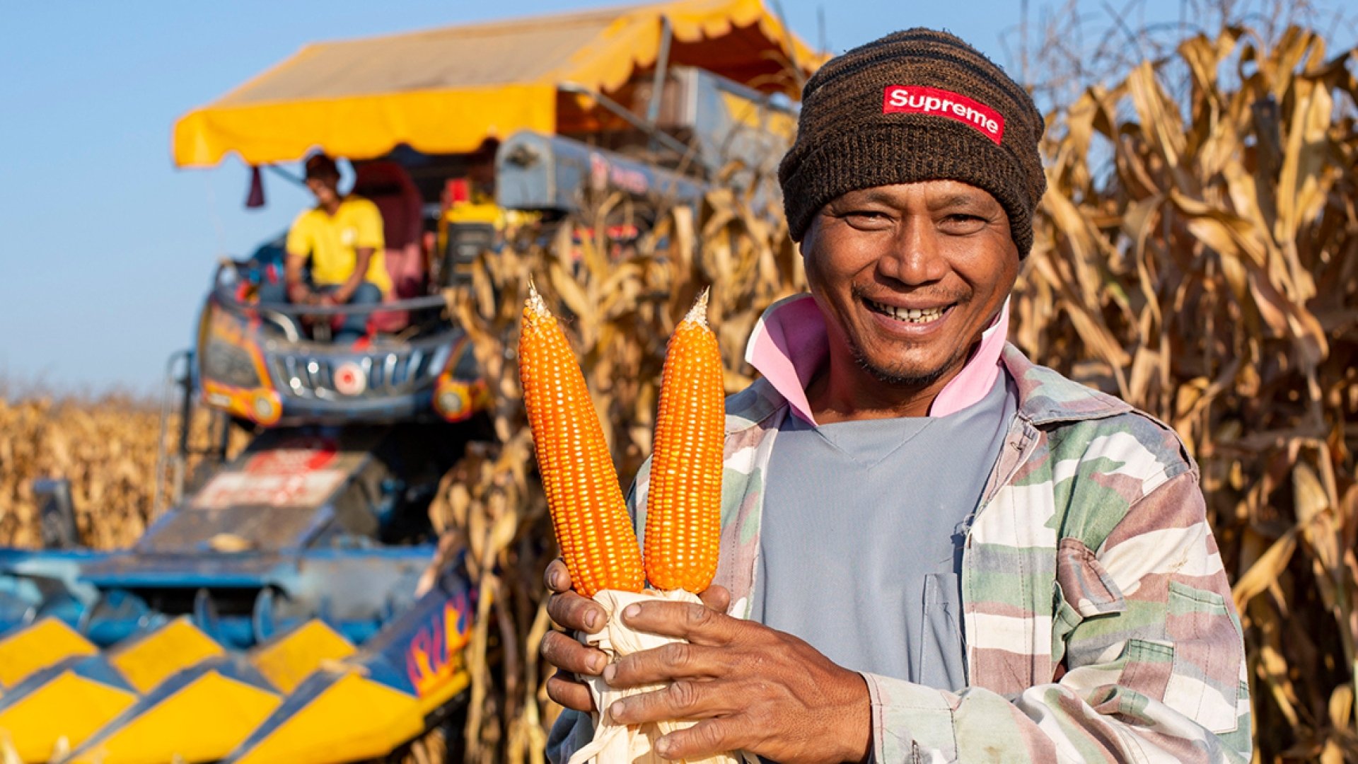 Myanmars Landwirtschaft kommt in Fahrt - Innovation Entwicklungszusammenarbeit